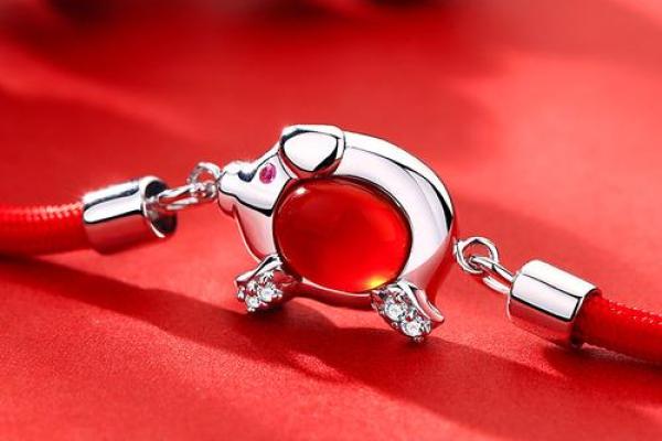 水猪命适合佩戴的饰品与注意事项指南