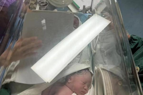 分析命格:如何选择最佳时机迎接贵子降临 分析命格:如何选择最佳时机迎接贵子降临