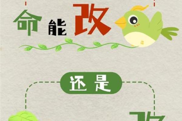 学什么算卦不费命？探寻命理与人生的智慧之路