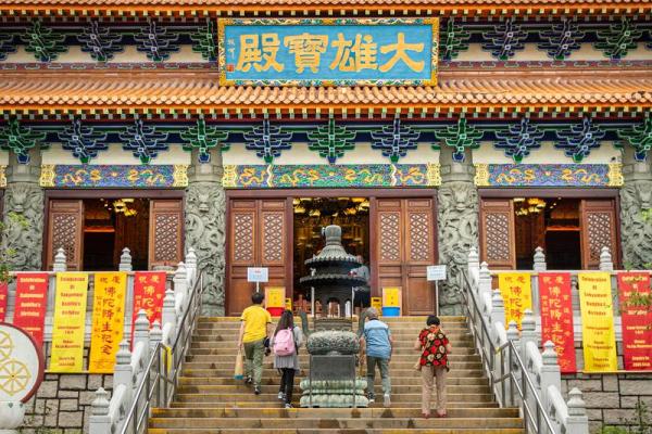 寺庙中的根：扎根心灵的命运之旅与灵性启示