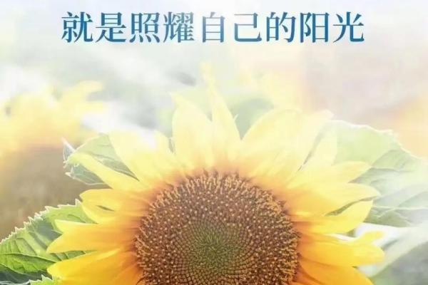 没有下巴的人命格解析:体悟生命的独特与深刻 没有下巴的人命格解析:体悟生命的独特与深刻