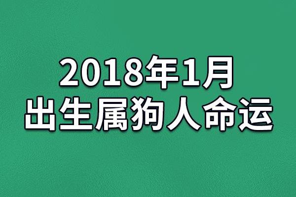 1982年属狗人的命运与性格解析：如何获得更好的运势？