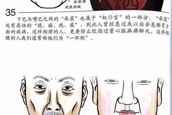 探寻十二面相:解码女性命运的奥秘 探寻十二面相:解码女性命运的奥秘