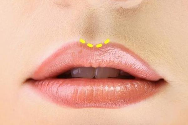 如何根据农历判断猪年命格，了解你的命运与性格特点