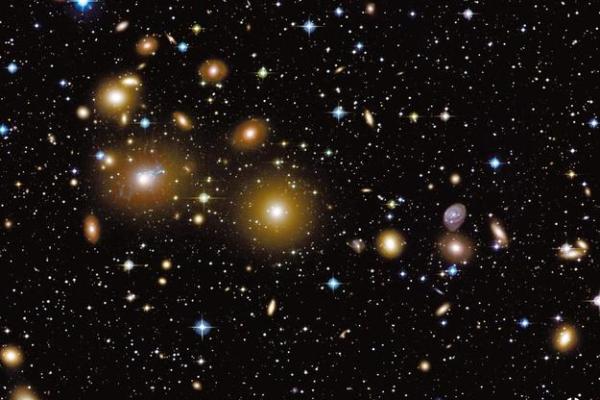 晚上出生的狗:夜晚的星光下,他们的命运如何? 晚上出生的狗:夜晚的星光下,他们的命运如何?