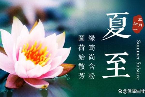 九五年夏至生人命运探秘：揭示生肖背后的秘密与机遇