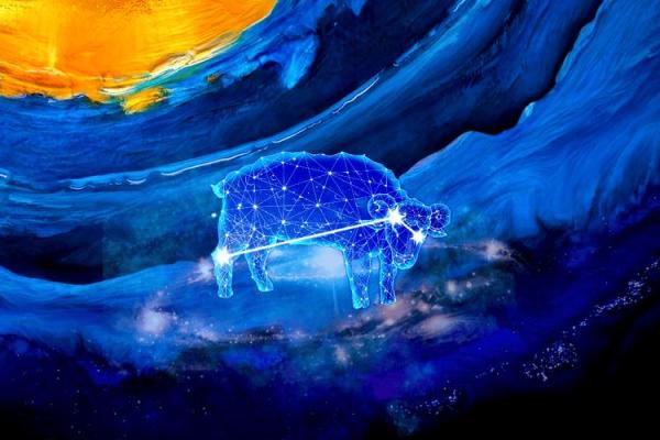 九五年夏至生人命运探秘：揭示生肖背后的秘密与机遇