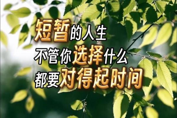 命运长河中,我们该如何面对人生的短暂与无常? 命运长河中,我们该如何面对人生的短暂与无常?