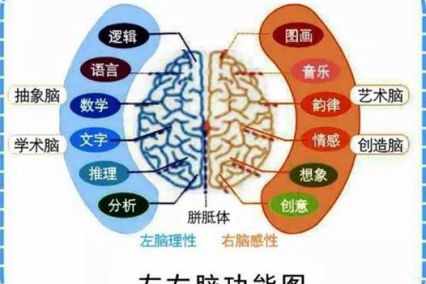 算命的意义：揭开命运之谜，启迪人生智慧的旅程