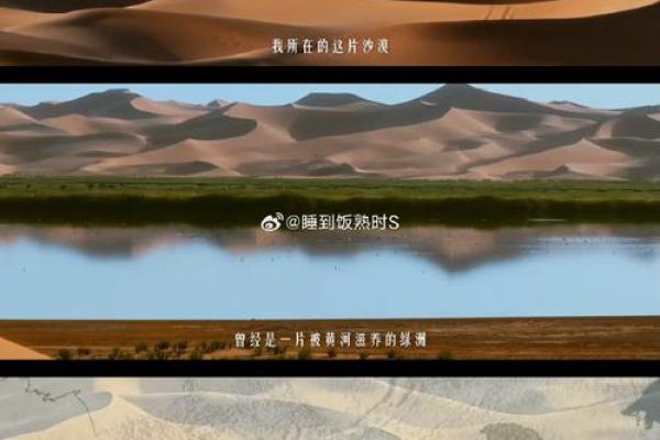 1992年2月的奇迹：探索人与自然的和谐共处之道