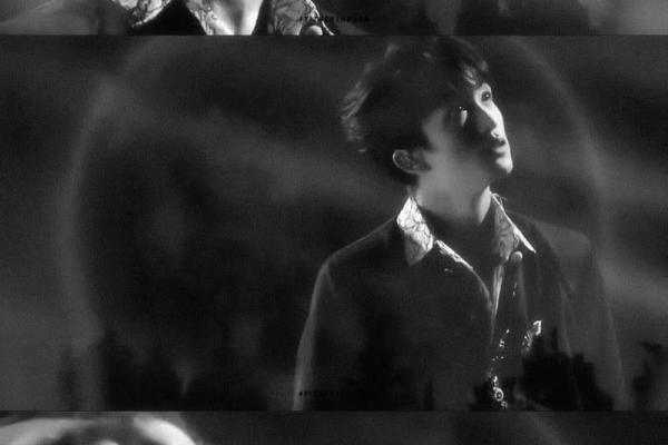 惟利是命，猛兽与温驯者的生存法则分析