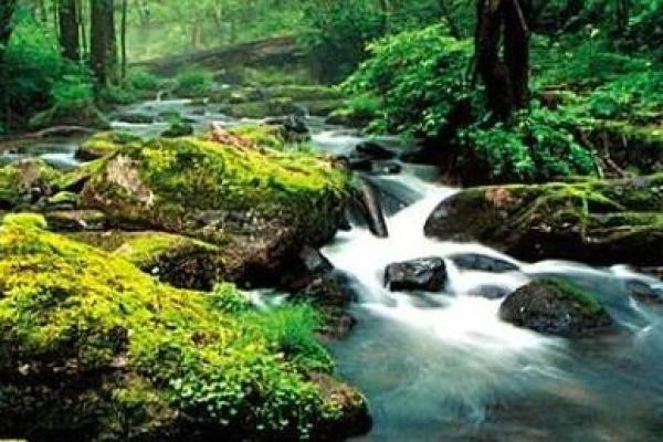 探寻涧下水命：适合佩戴的饰品与注意事项