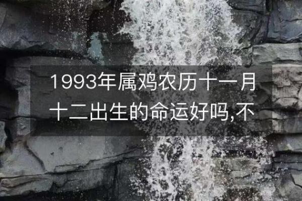 1993年出生的女性命运分析与人生启示