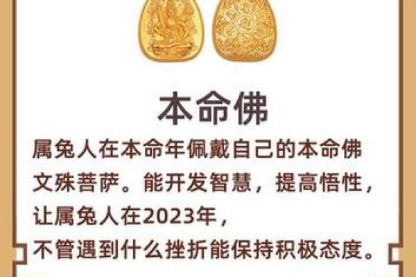 2023年属兔男孩的命运与发展探秘！