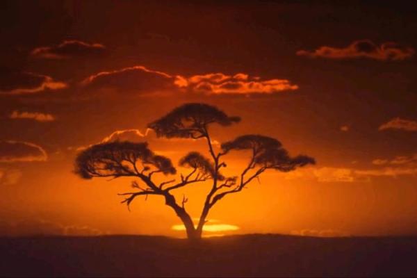 黑土白云：命格揭秘与人生旅程的隐秘密码