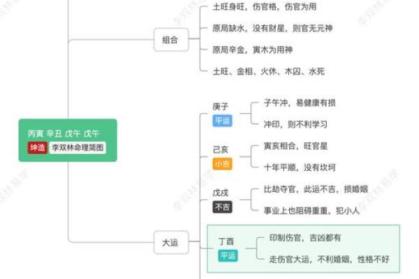 丁酉年女人命理解析:魅力与挑战并存的人生道路 丁酉年女人命理解析:魅力与挑战并存的人生道路