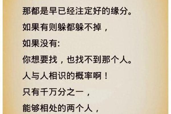 命里注定的缘分：无需强求，轻松接受生活的馈赠