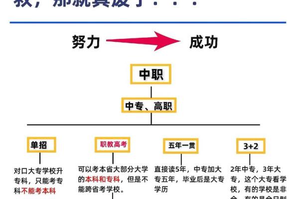 探秘2000年出生者的命格与人生轨迹