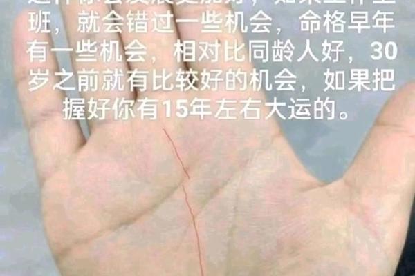 2008年鼠宝宝命理解析：如何助力人生辉煌的秘密