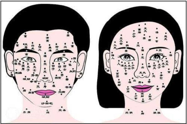 探秘壬子年，哪些属性命理更佳？揭开命运的秘密！