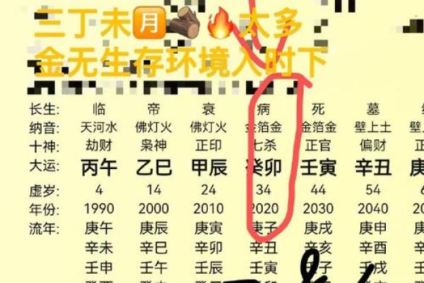 1987农历2月出生的命理解析与人生运势探讨