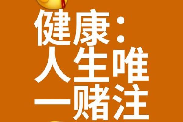 2004年属鸡的命运解析：聪慧与挑战并存的人生之路