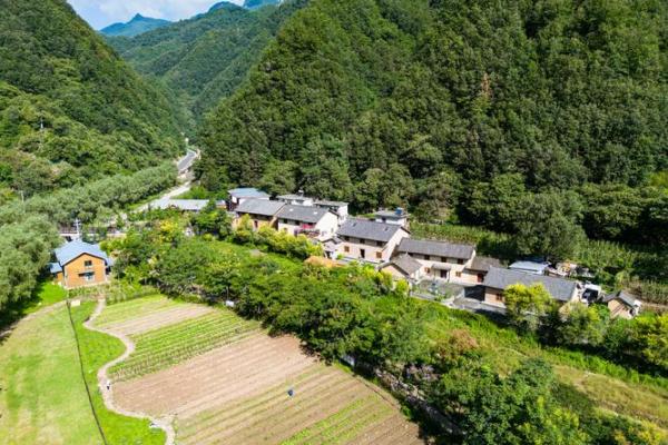 1967年水命：流动与智慧的象征，探索人与自然的和谐之道