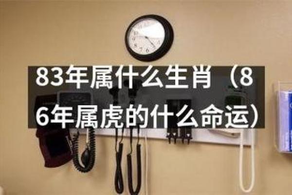 生来乞食命与生肖的深刻联系：揭开命运的神秘面纱