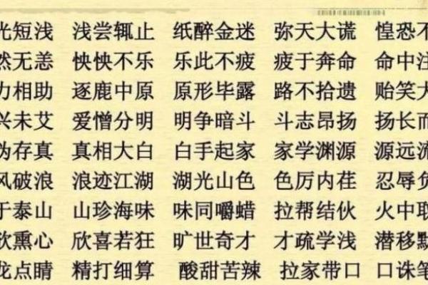 根据什么于命，探寻人生成语的深意与智慧