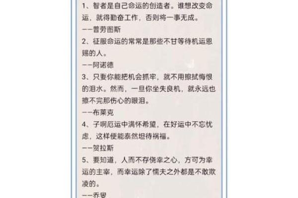 1995年属狗人的命运解析：如何把握自己的未来与机遇
