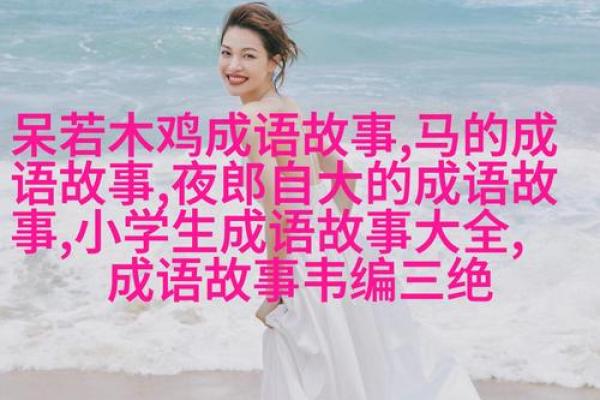 根据什么于命，探寻人生成语的深意与智慧