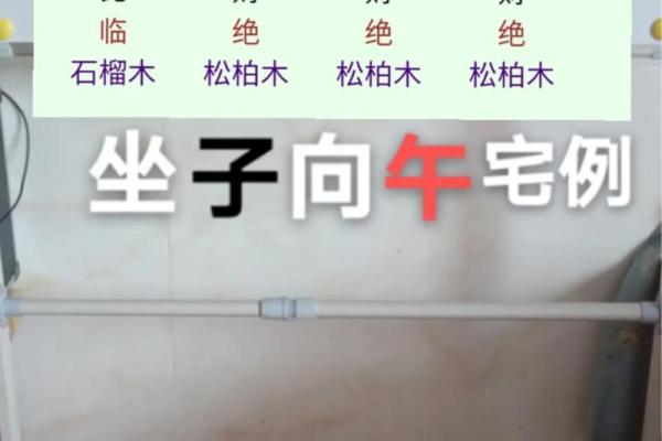 卯时命理解析：揭示你的命格和人生轨迹！