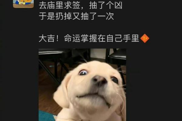 1995年属狗人的命运解析：如何把握自己的未来与机遇