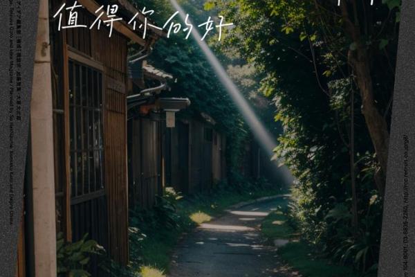 为什么我们的命都值得珍惜与利用？探讨生命的意义与价值