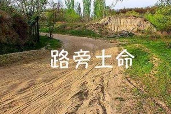 探索沙中土命：命理与生活的深刻联系