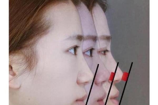 探索2021：命中的不平凡之年与人生的蜕变之路