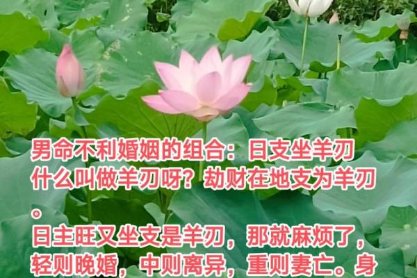 日支的深意：探寻命理中的秘密与人生指引