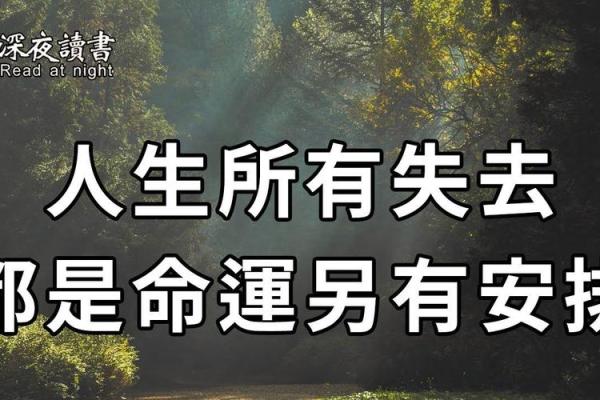 命格的强弱与人生轨迹：揭示命运的奥秘与改变的可能