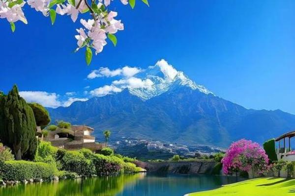 74岁属鸡的命格解析：开启人生的智慧与自信之旅