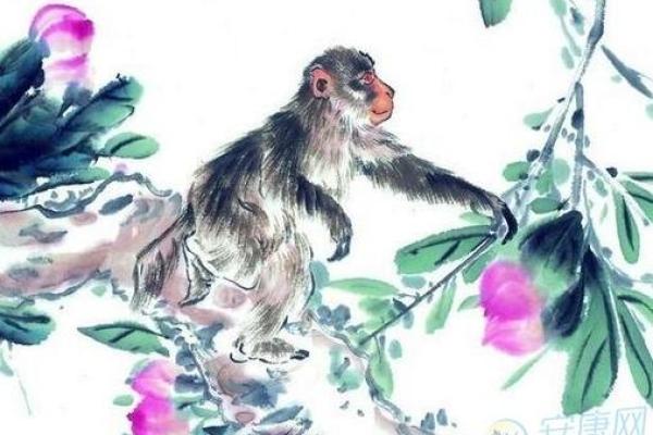 七八年生人生肖解析：命运与性格的深度剖析