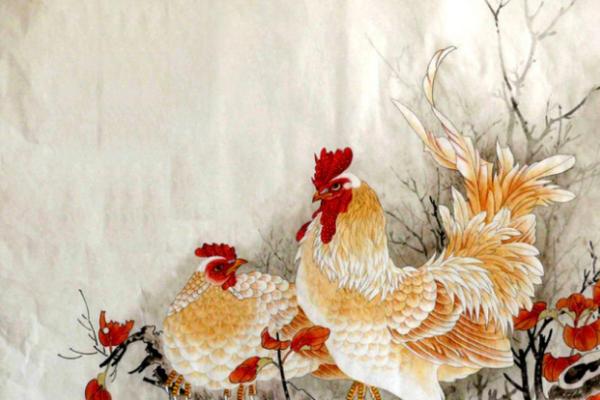 1955年属鸡的命理解析：揭秘人生的多彩篇章