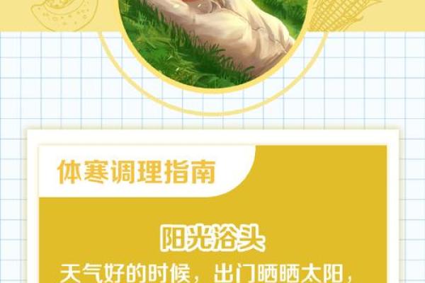 1993年腊月属鸡之人的命运解析与生活指南 1993年腊月属鸡之人的命运解析与生活指南