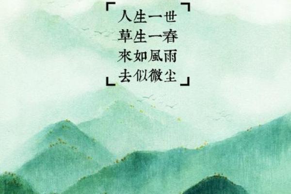 杨柳木命的人生特点与命运解析：轻灵如柳，坚韧如木