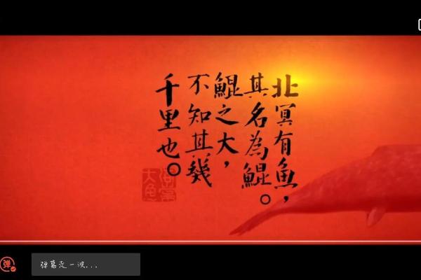 1957年出生的女性命运与人生旅程解析