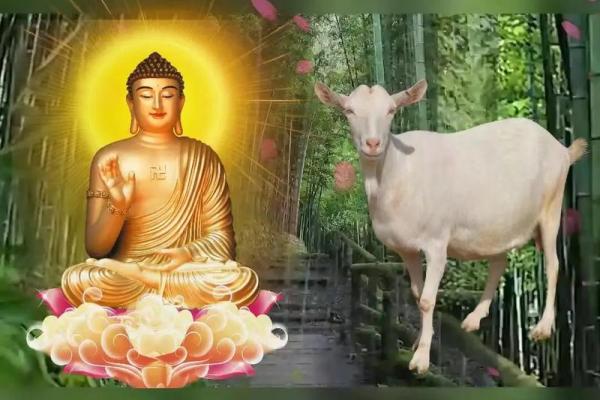 1979年属羊人的命运分析与人生智慧