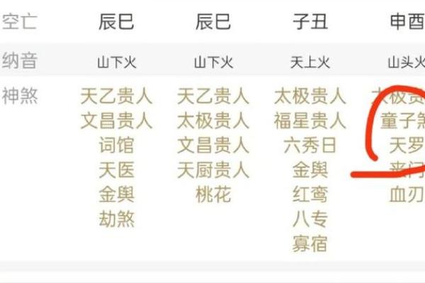 天上的童子:命理解读与人生启示 天上的童子:命理解读与人生启示