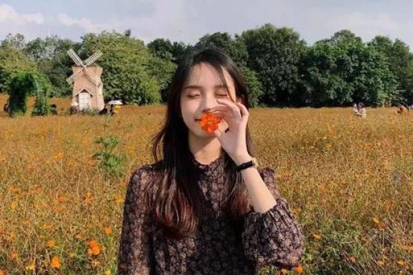 炉中火命适合什么头像?揭示个性特质与形象表达的奥秘 炉中火命适合什么头像?揭示个性特质与形象表达的奥秘