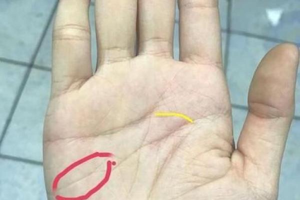 探索断掌命理：女性独特命运的象征与启示