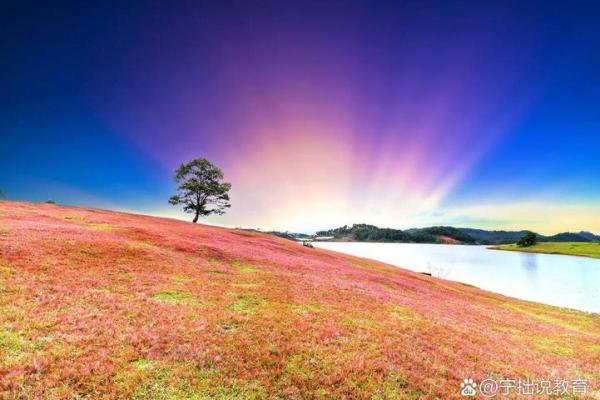 命情感测试：探索自我内心的秘密，开启幸福人生之门