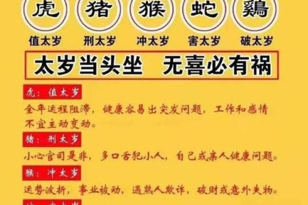 揭秘生肖背后的秘密:如何了解你的命物与生肖的关系 揭秘生肖背后的秘密:如何了解你的命物与生肖的关系
